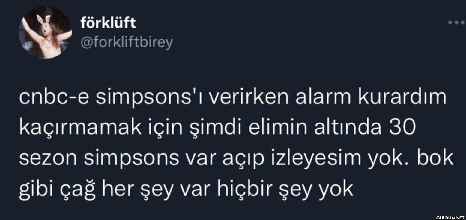 cnbc-e simpsons'ı verirken...