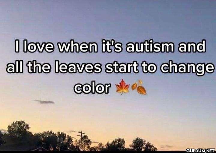 I love when it's autism...