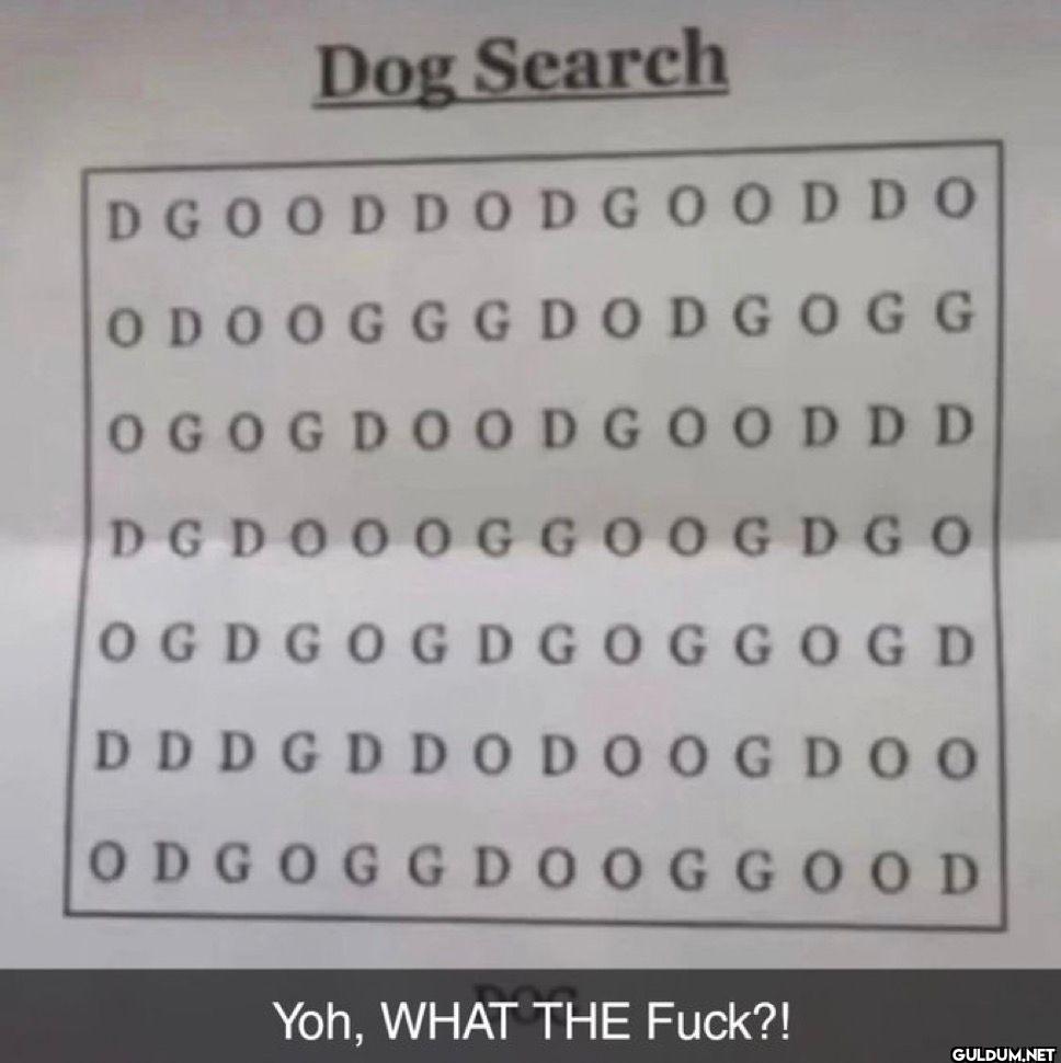 nah i actually can’t find...