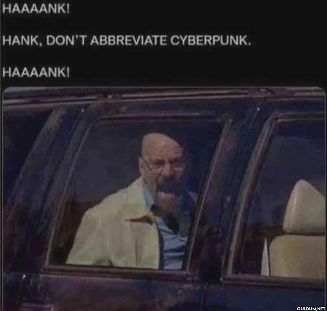 HAAAANK! HANK, DON'T...