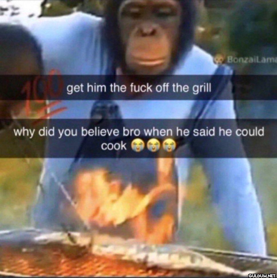 BonzaiLama get him the...