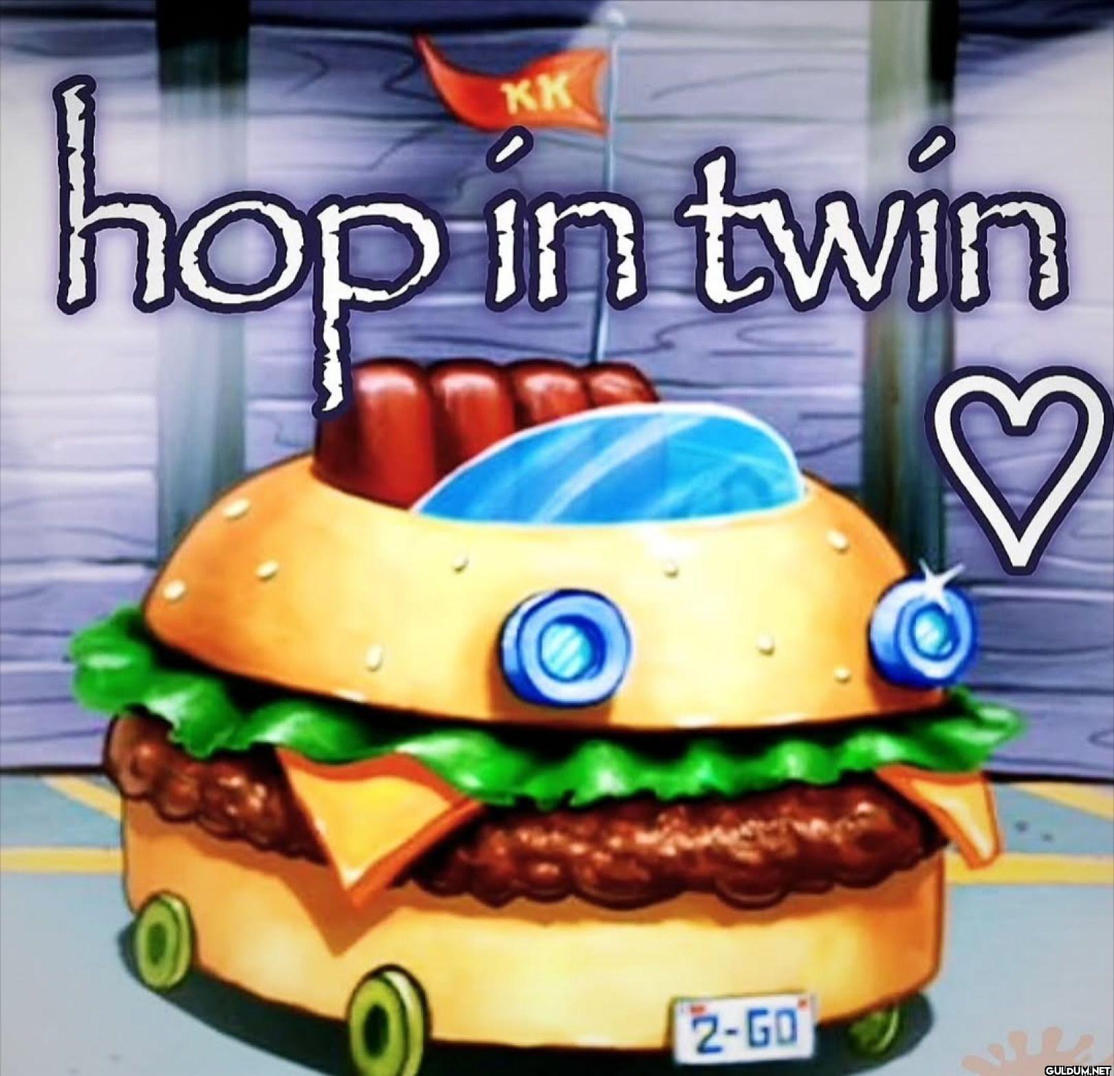hop in twin