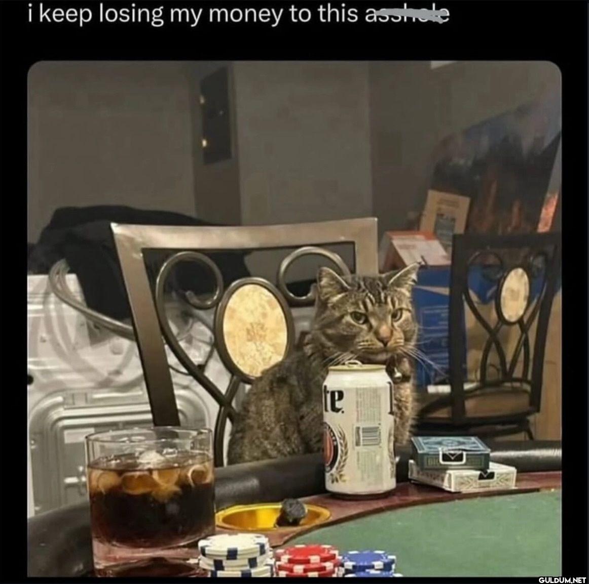 i keep losing my money to...