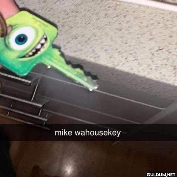 mike wahousekey