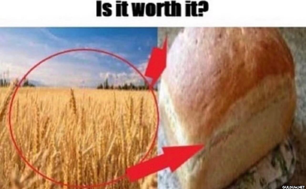is it worth it?    Is it worth it?