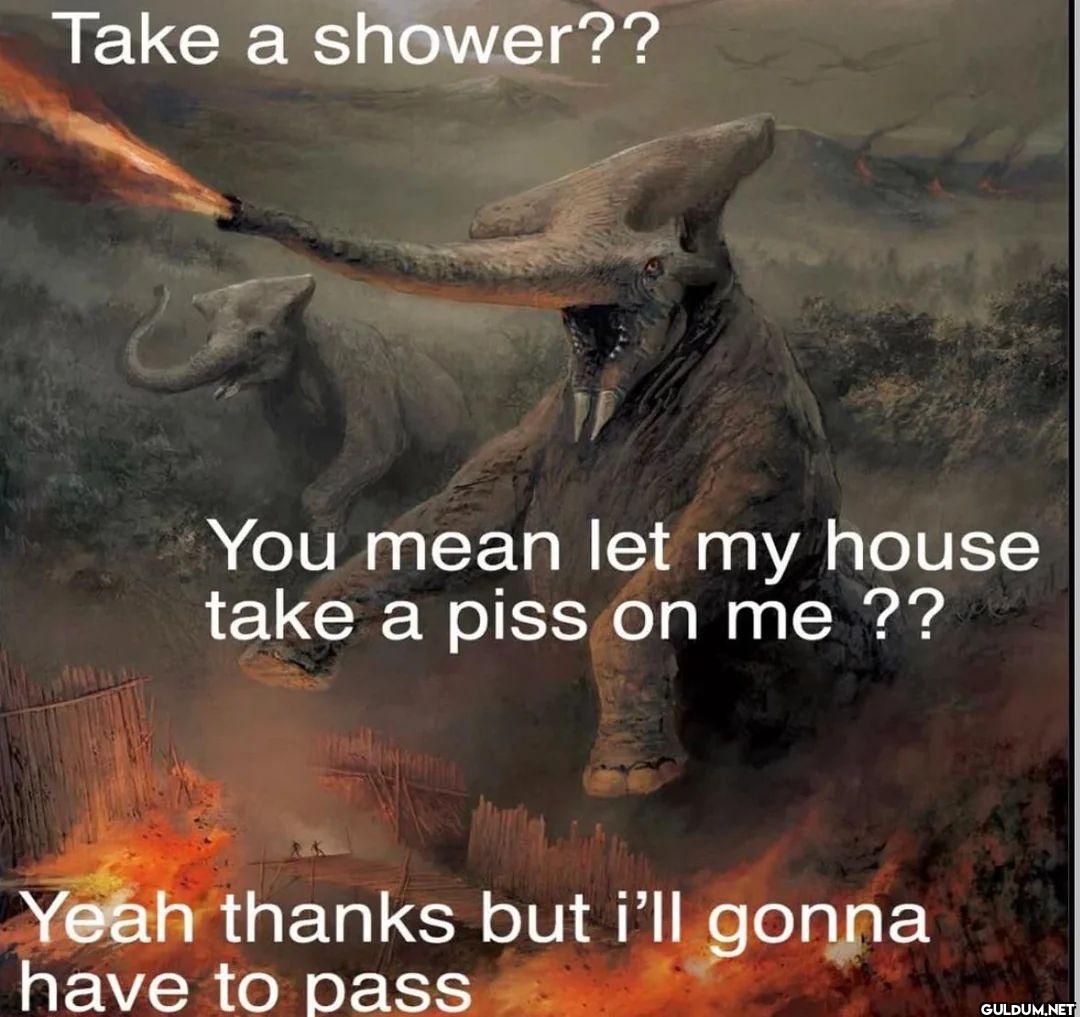 Take a shower?? You mean...