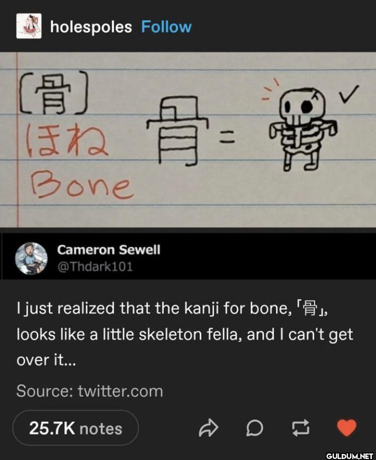 holespoles 骨 ほね Bone...