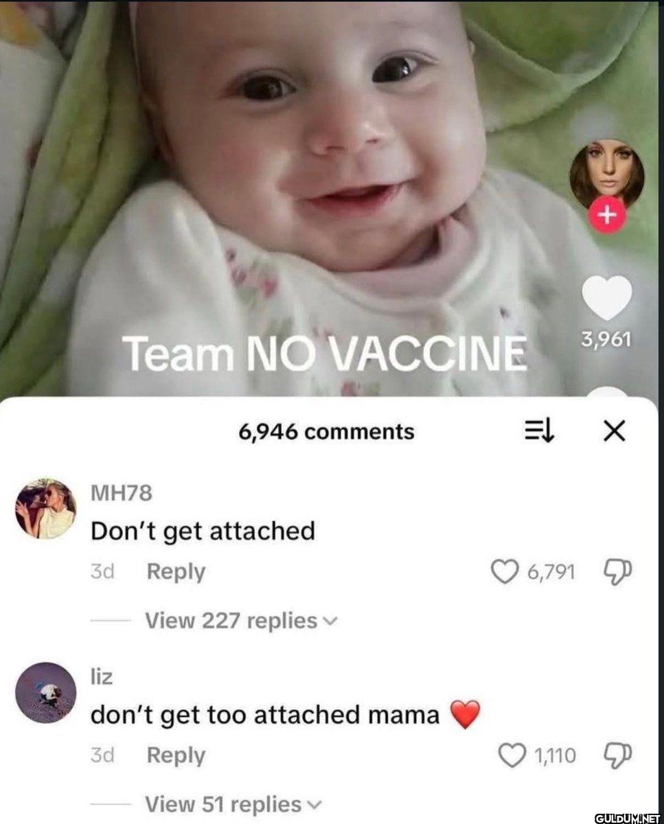 Team NO VACCINE 3,961...