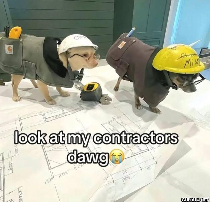 look at my contractors dawg