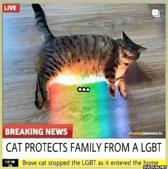 🫡    LIVE BREAKING NEWS...