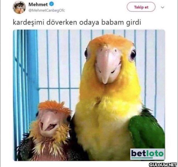 Takip et kardeşimi...