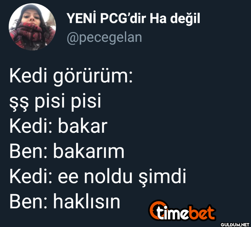 Kedi görürüm: şş pisi pisi...