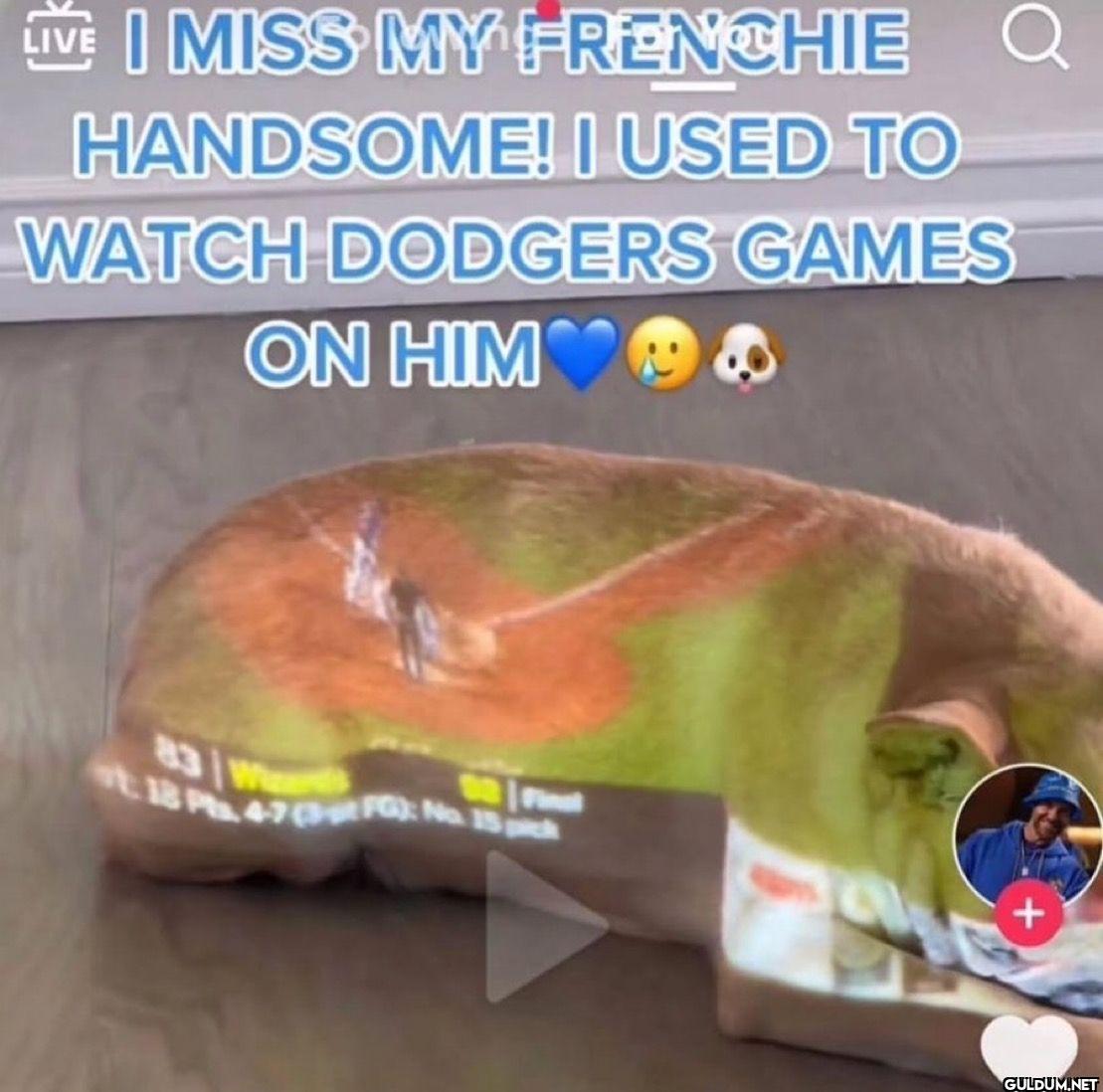 Q LIVE I MISS MY FRENCHIE...