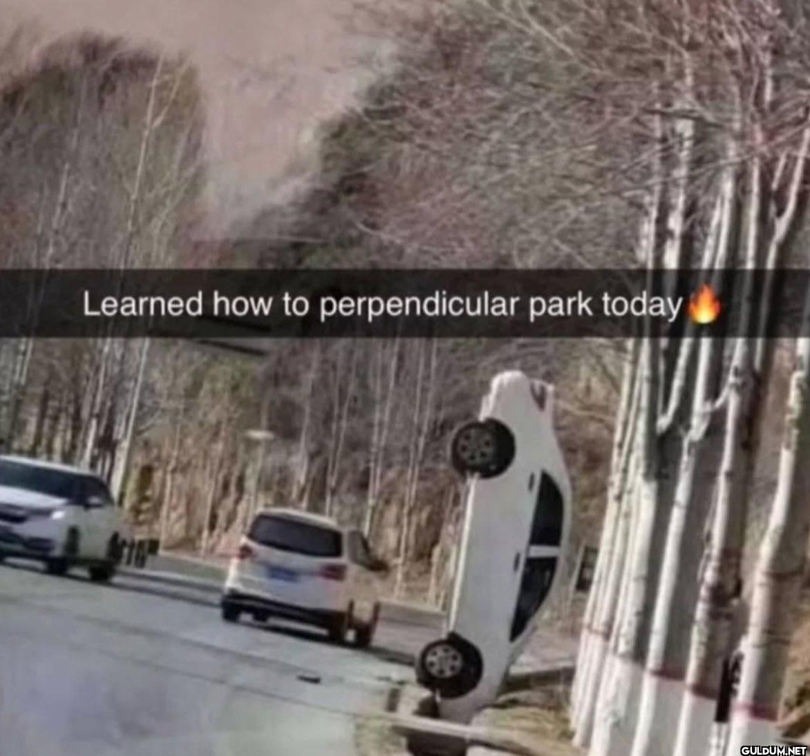 Learned how to...