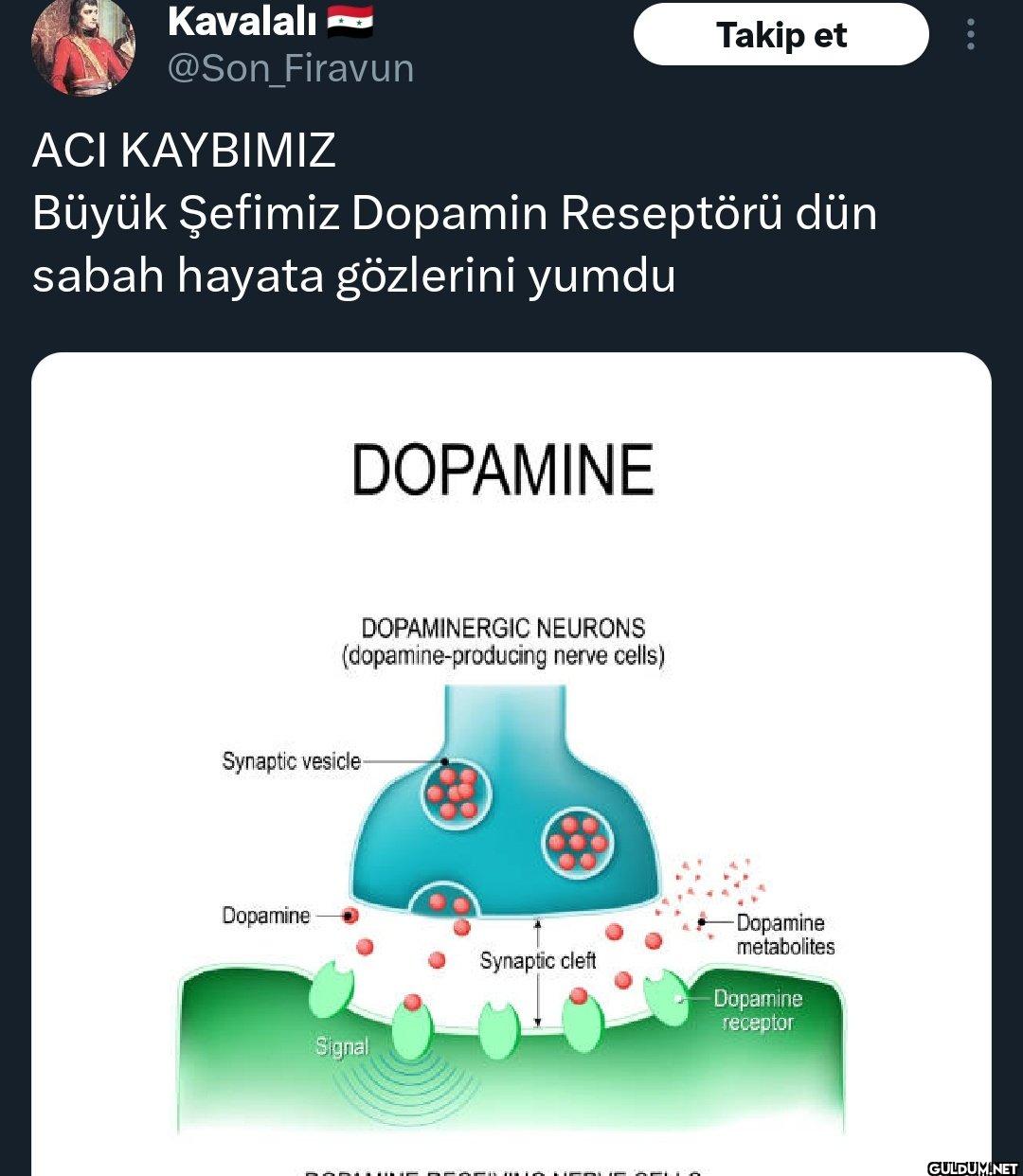 Firavun ACI KAYBIMIZ Takip...