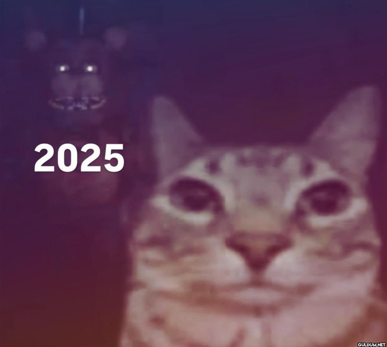 2025