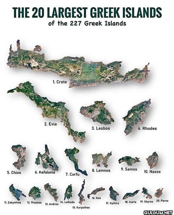 THE 20 LARGEST GREEK...