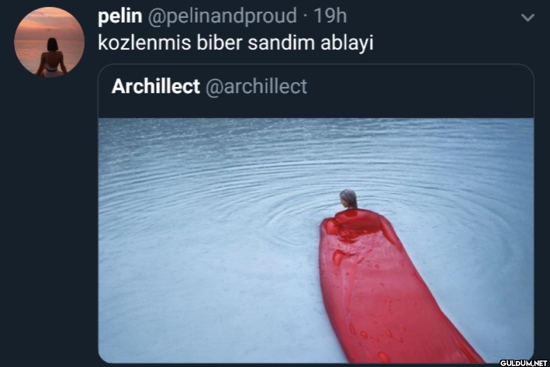 - 19h kozlenmis biber...