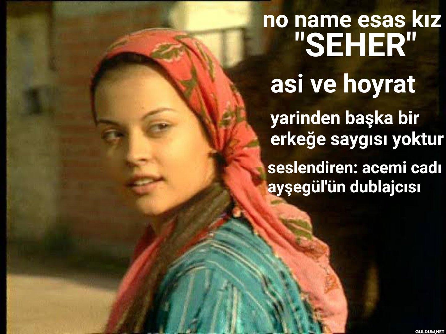 türkü hikayelerini konu...