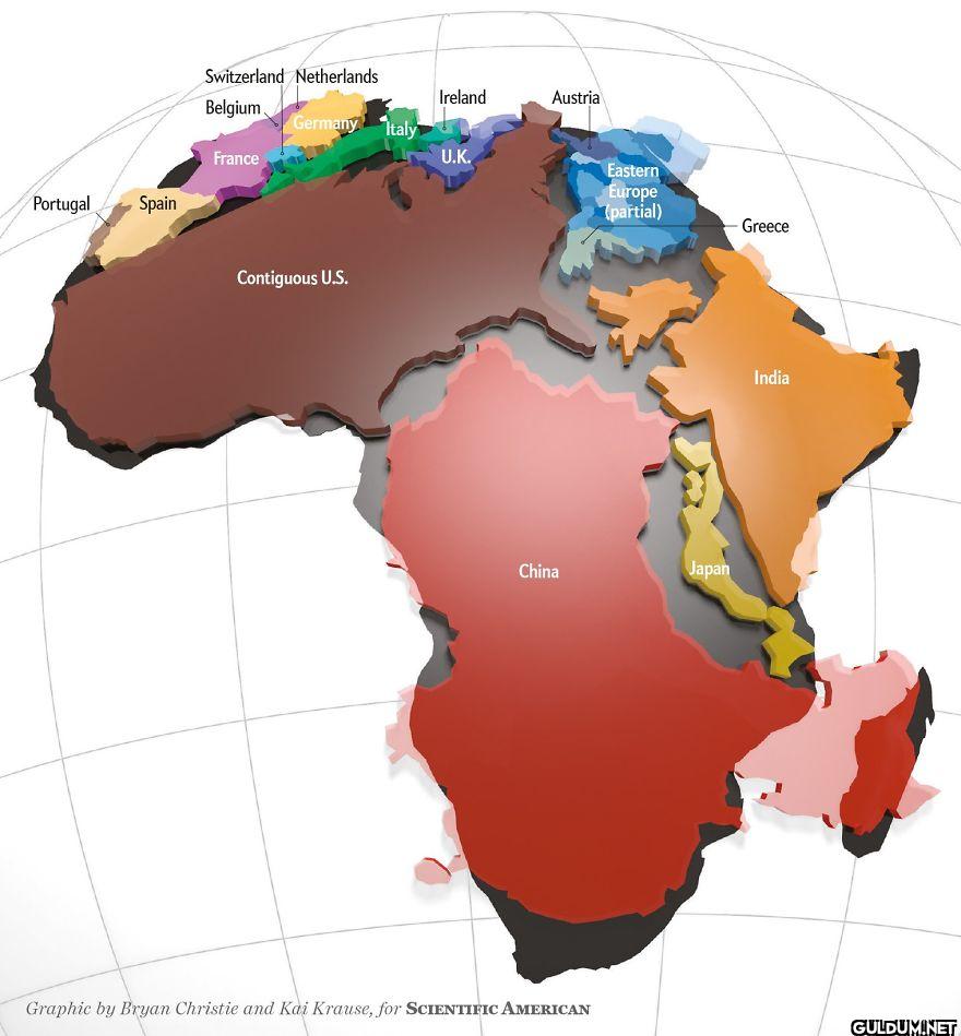 8. The real size of...