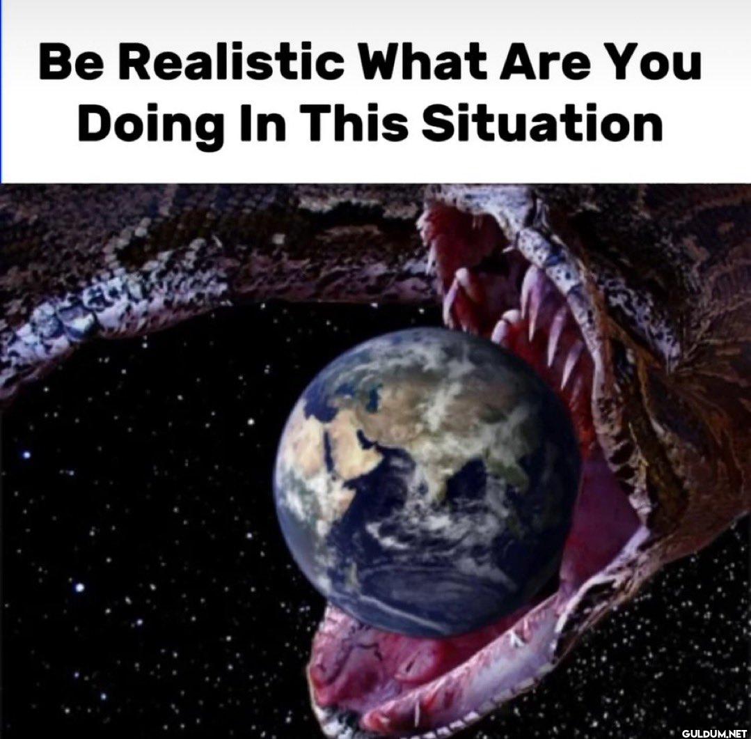 Be Realistic What Are You...