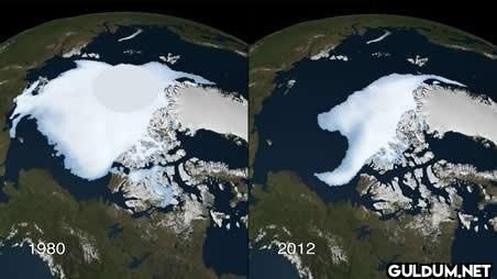 The Arctic ice cap is...