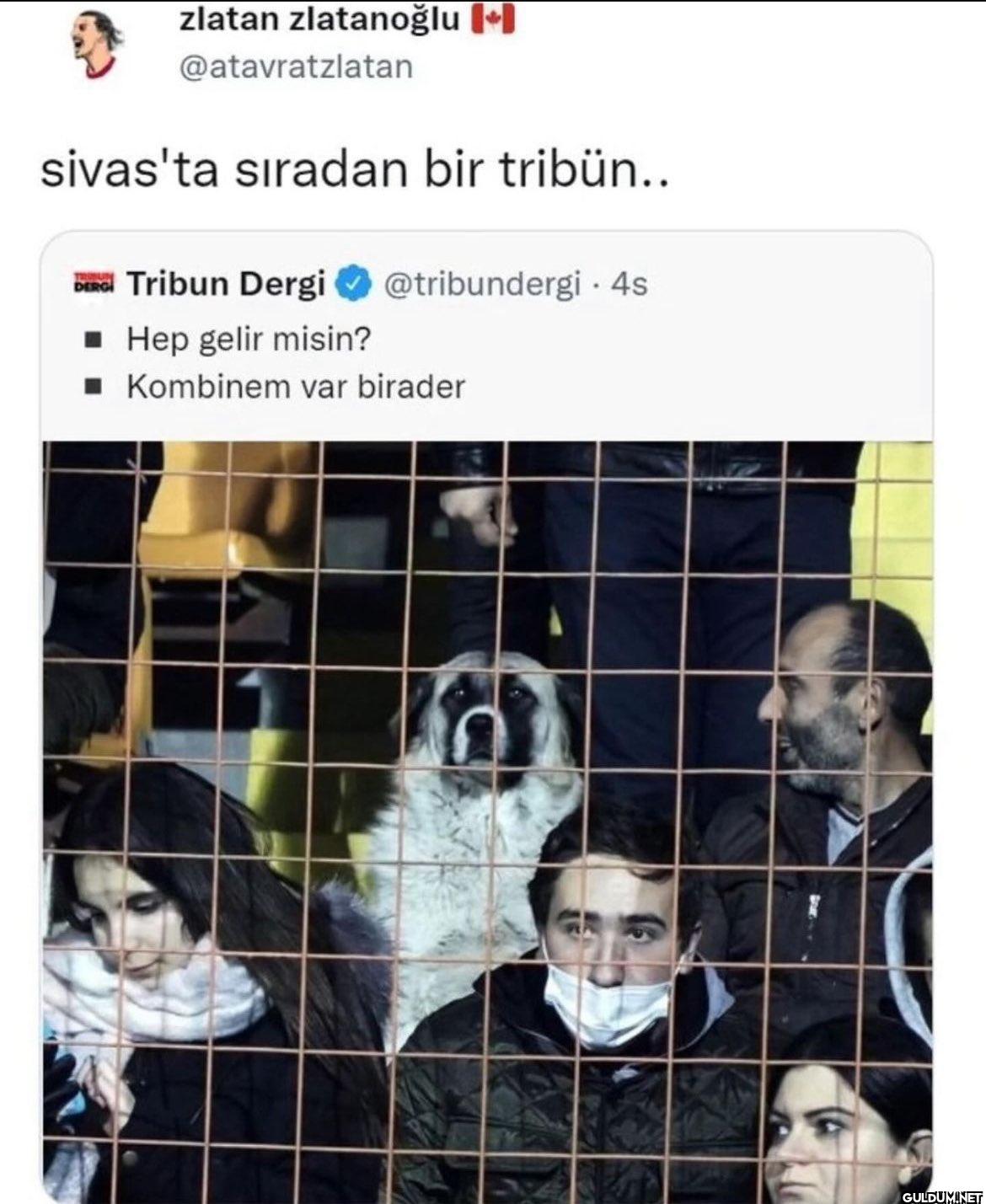 sivas'ta sıradan bir...