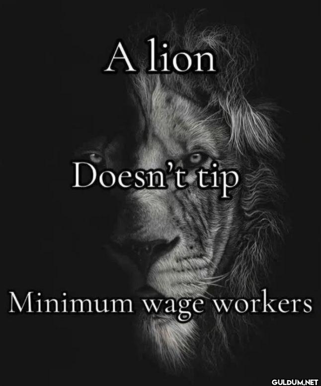 A lion Doesn't tip Minimum...