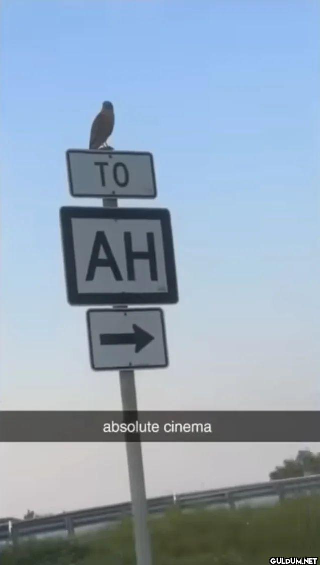 TO AH absolute cinema