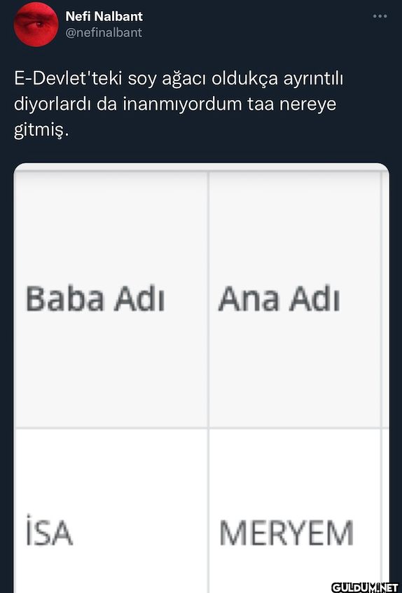 E-Devlet'teki soy ağacı...