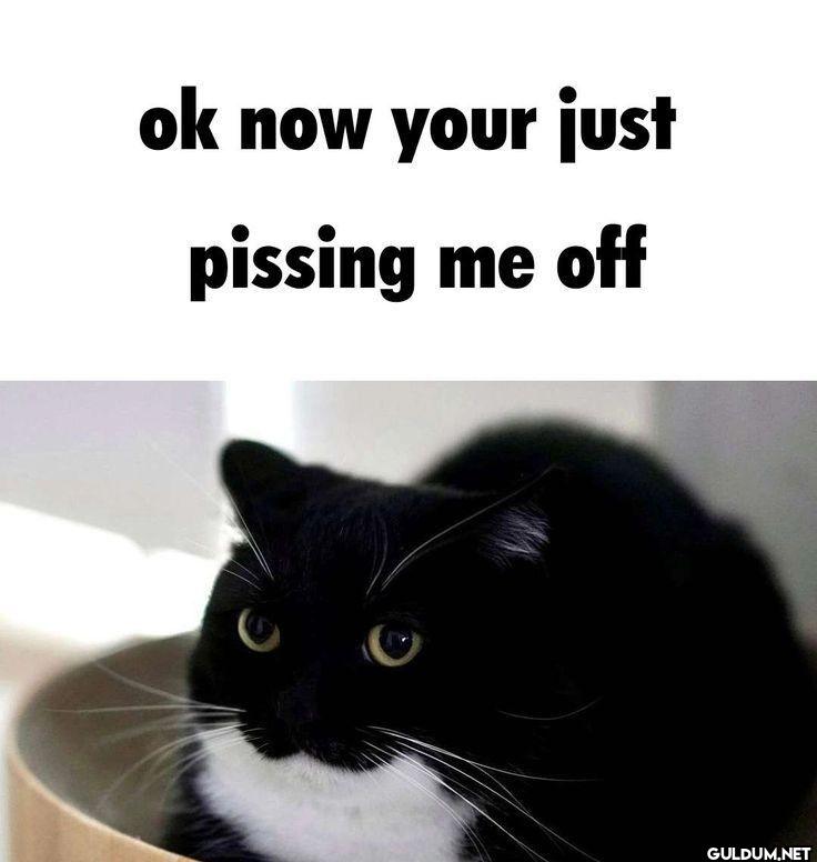 ok now your just pissing me off