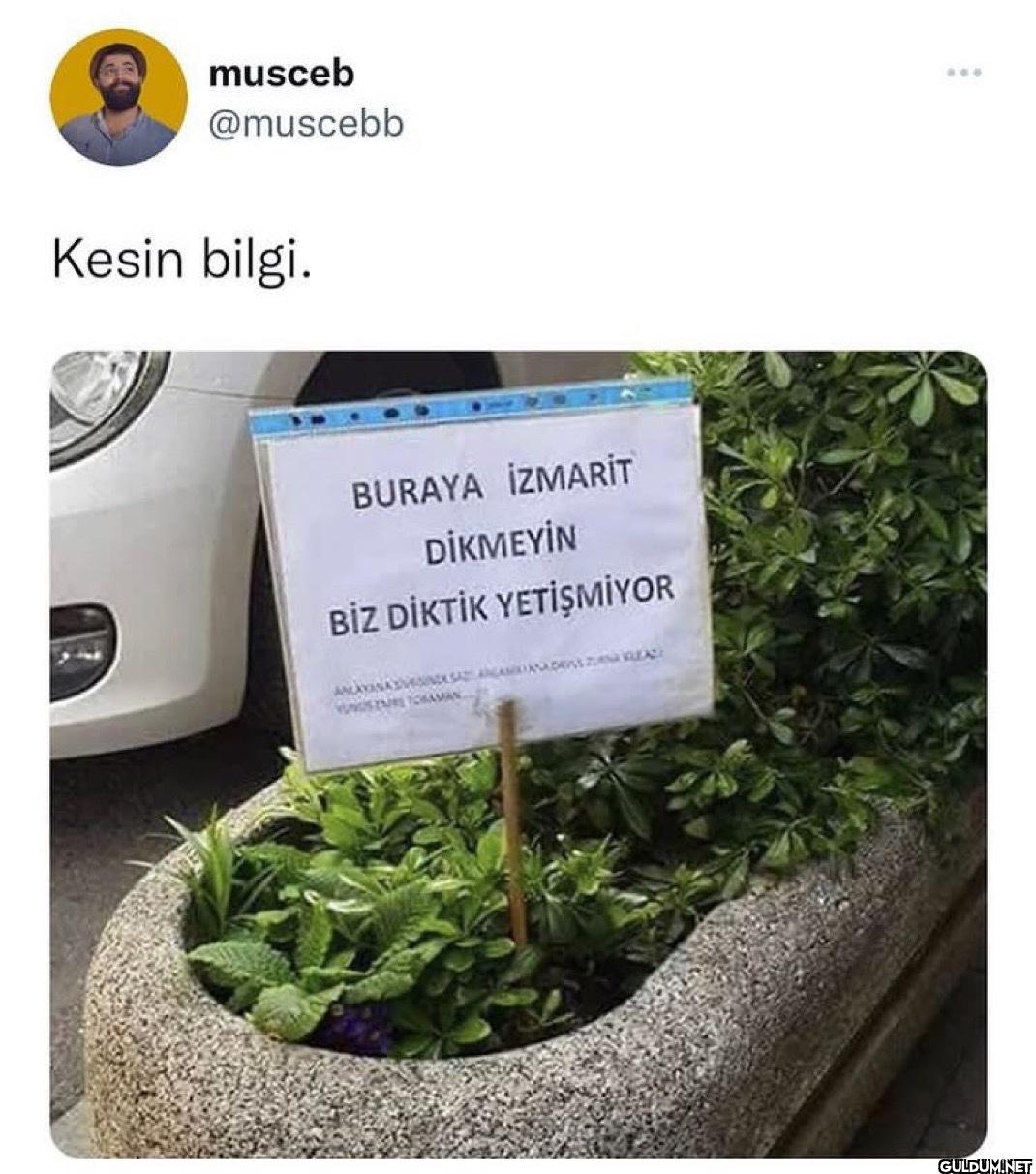 Kesin bilgi. BURAYA...