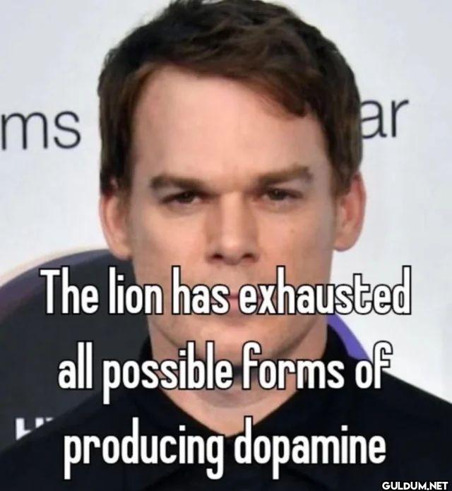 The lion has exhausted all...