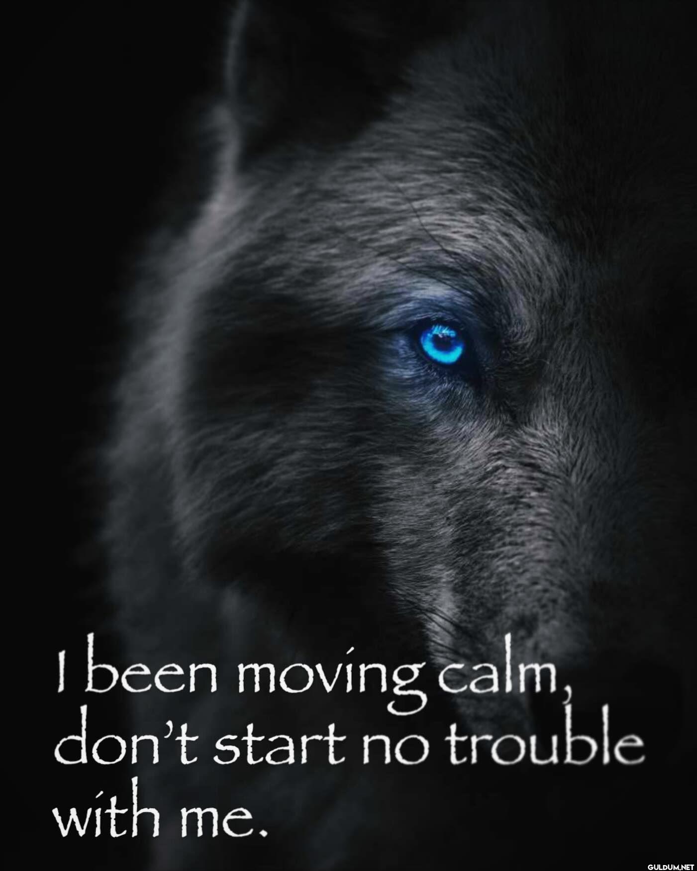 I been moving calm, don't...