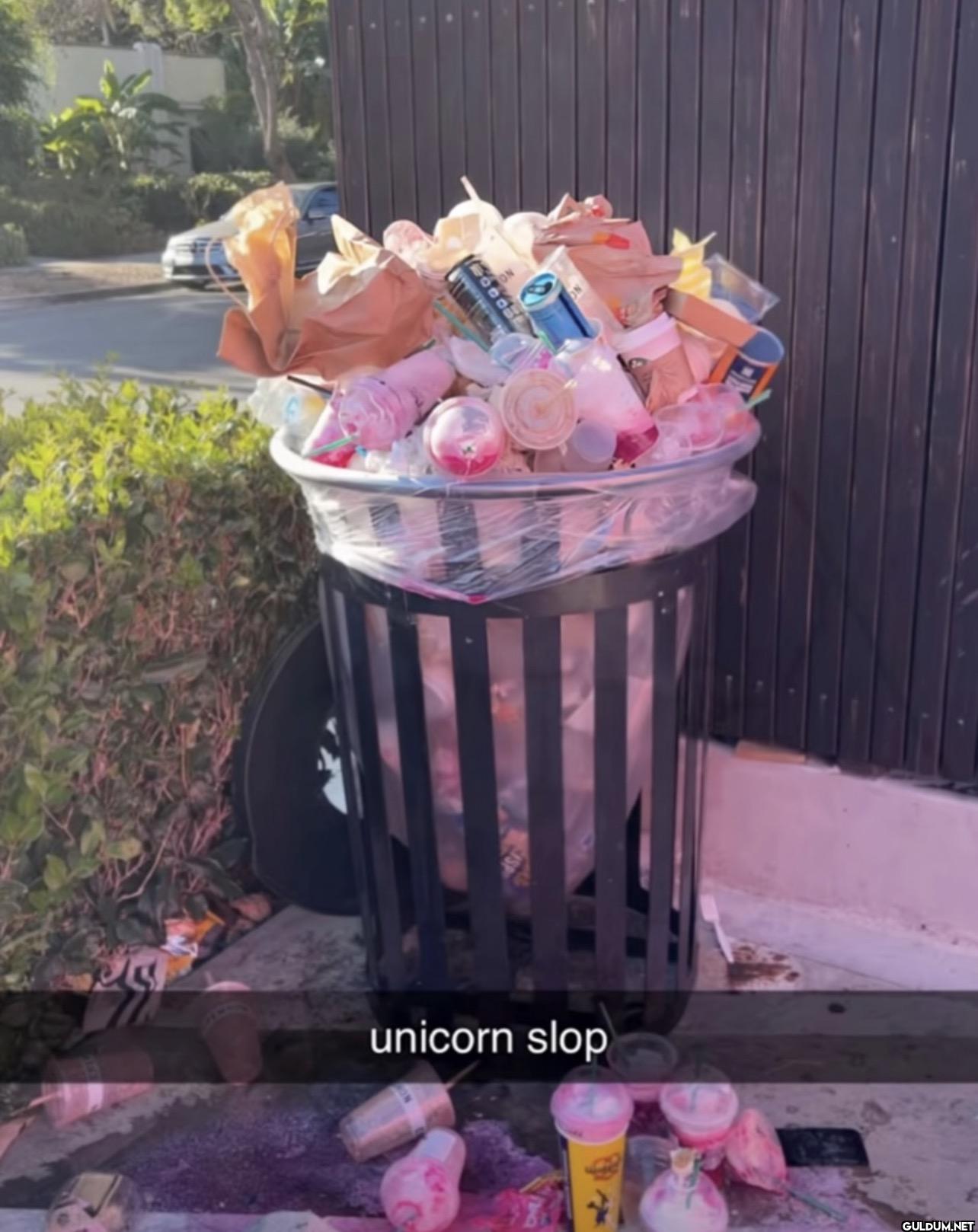 ight brah 3000 unicorn slop