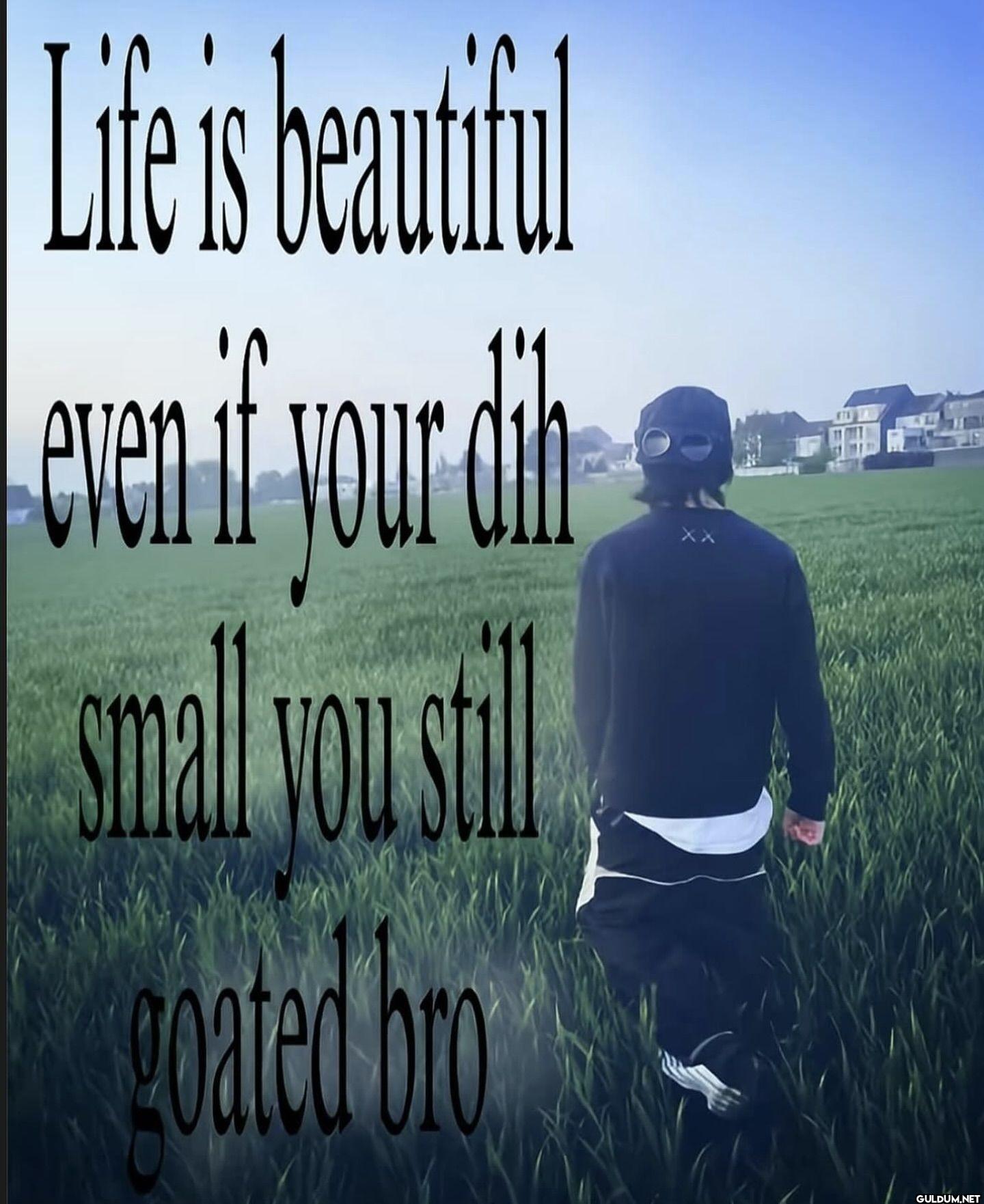 Life is beautiful even if...