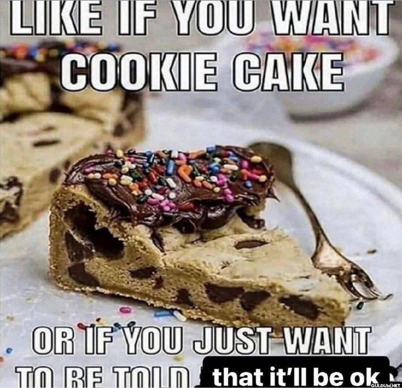 LIKE IF YOU WANT COOKIE...