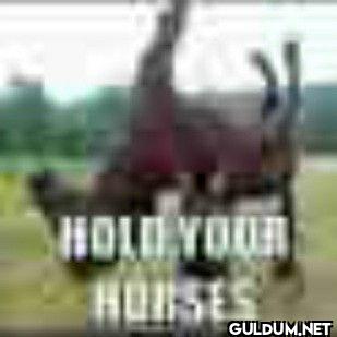 HOLD YOUR HORSES