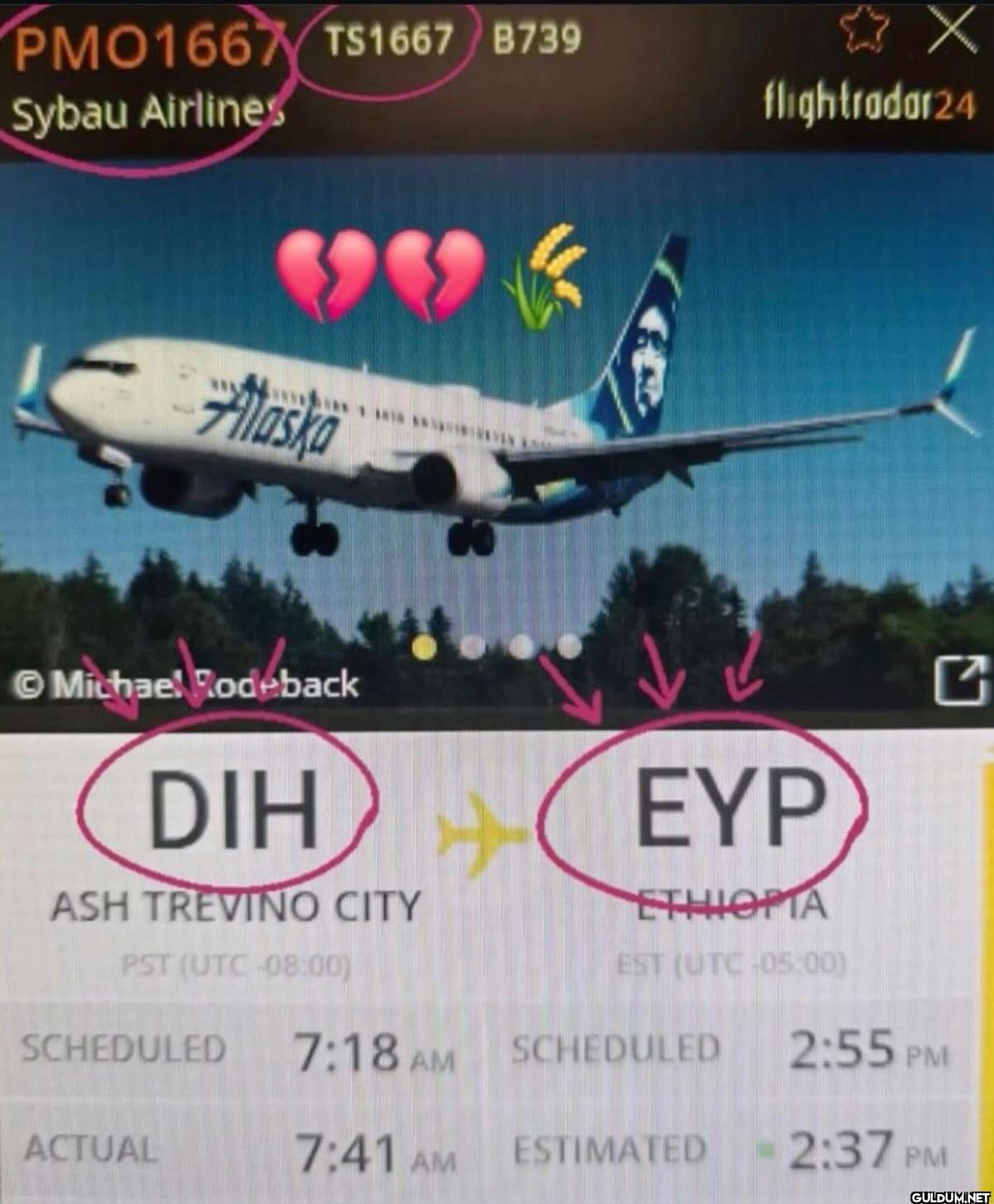 PMO1667 TS1667 B739 Sybau...
