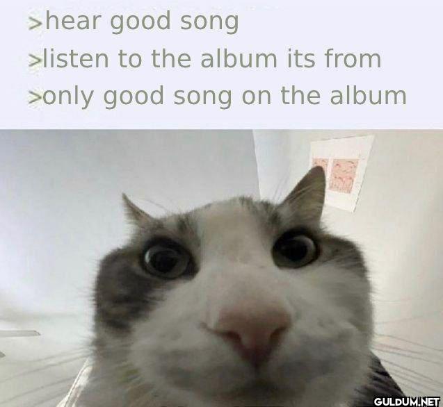 >hear good song >listen to...