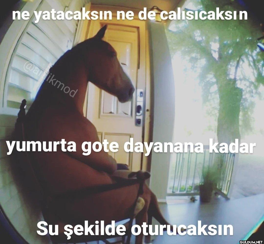 ne yatacaksın ne de...