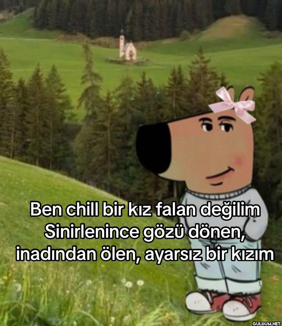 fe Ben chill bir kız falan...