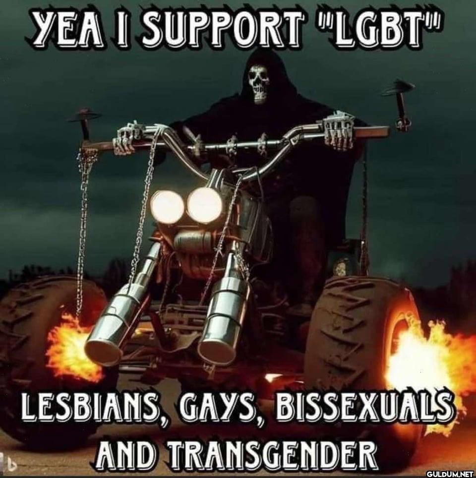 YEA I SUPPORT "LGBT"...