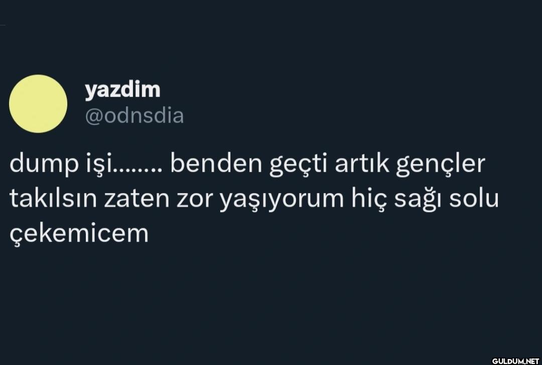 dump iş......... benden...