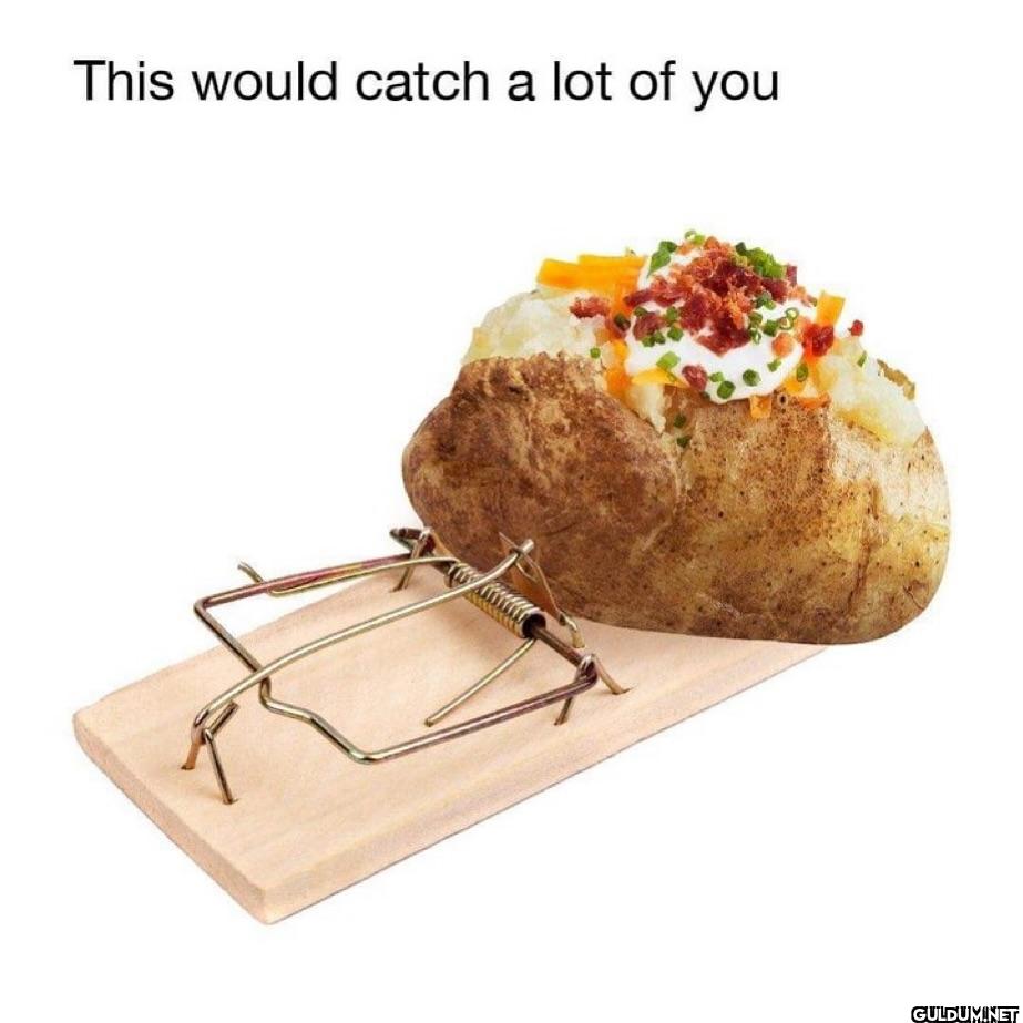 ︎ ︎ ︎ ︎    This would...