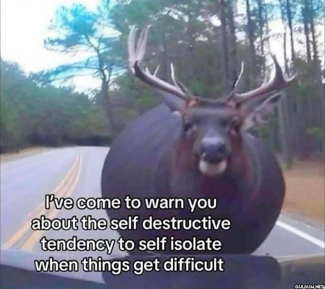 I've come to warn you...