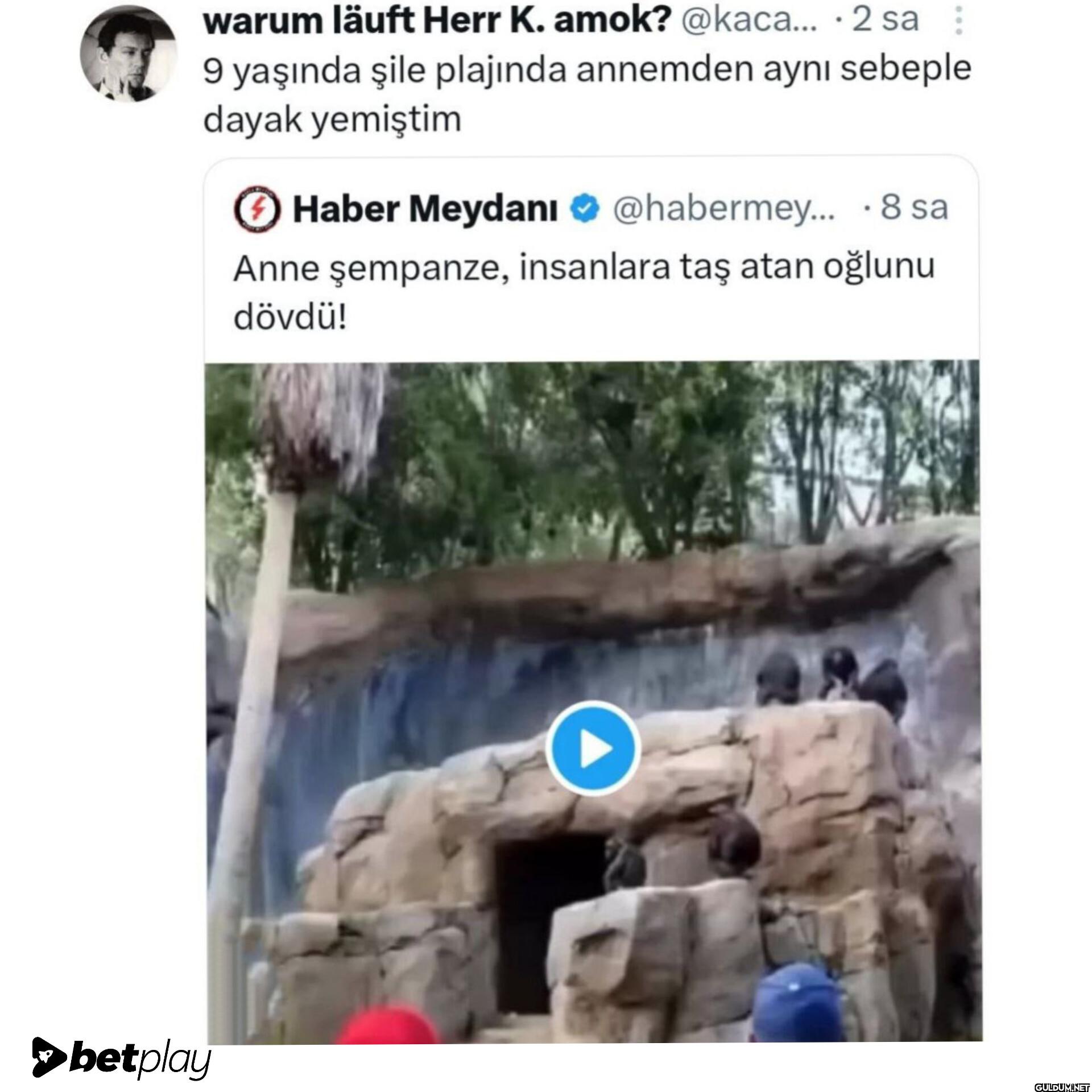 betplay warum läuft Herr...