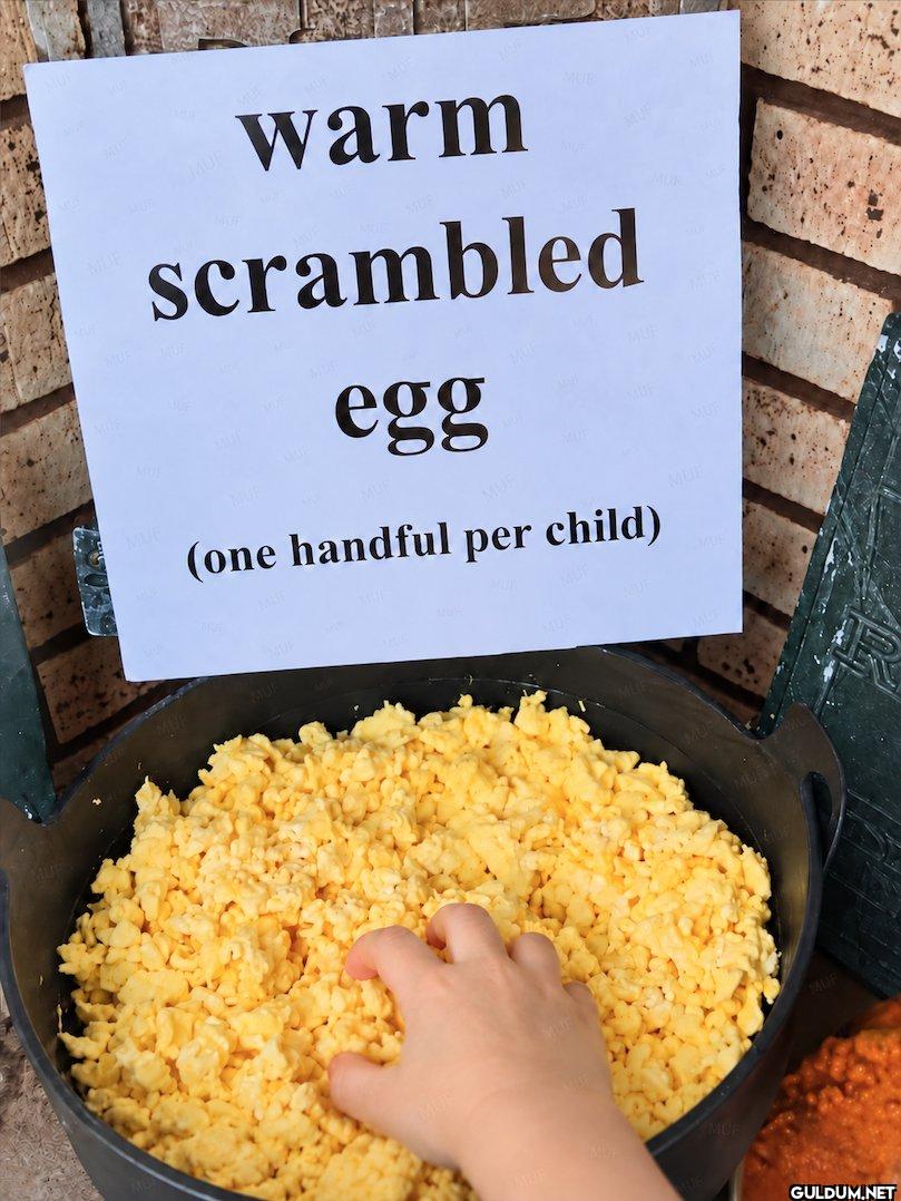warm scrambled egg one...