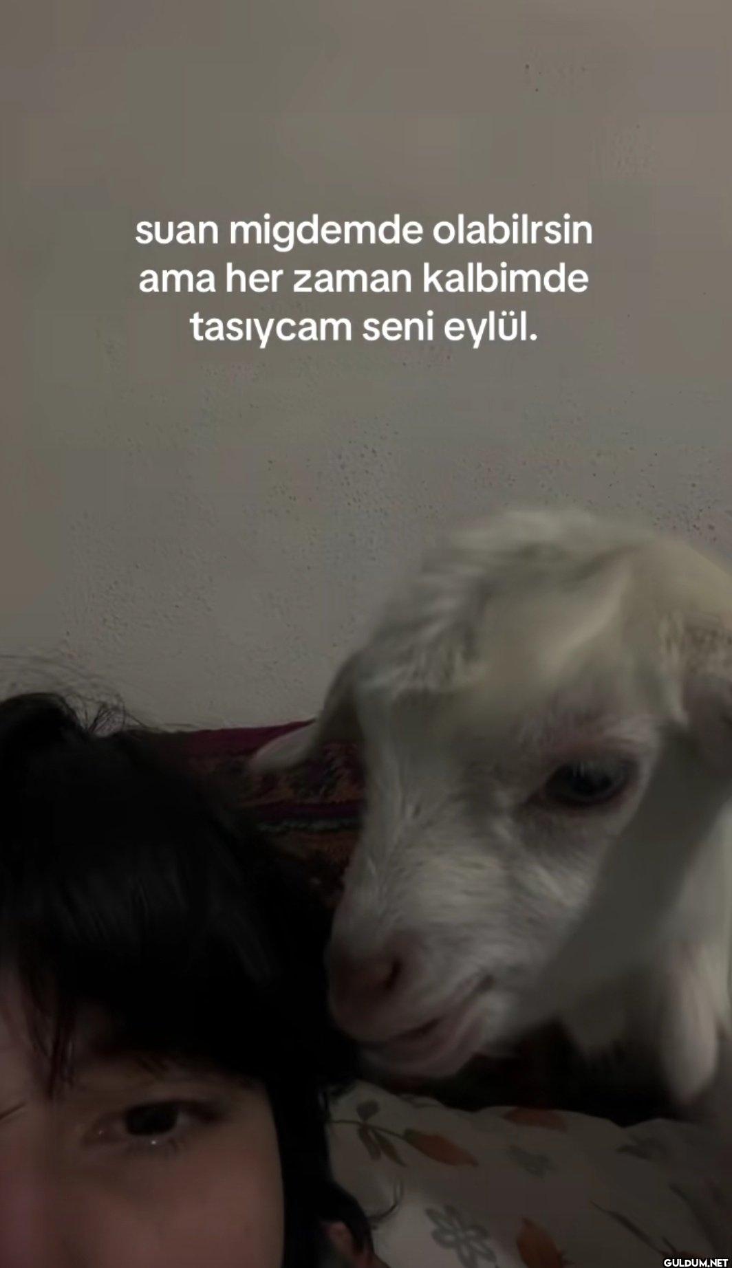 suan migdemde olabilrsin...