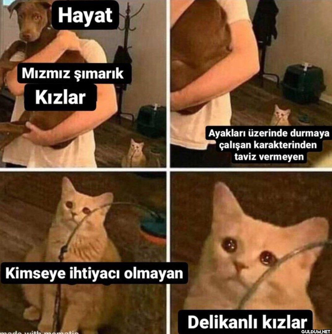 Hayat Mızmız şımarık...
